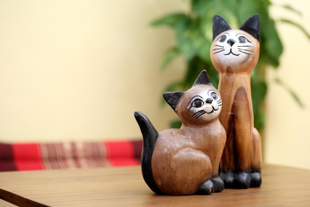 Thai Cat Hostel Μπανγκόκ Εξωτερικό φωτογραφία
