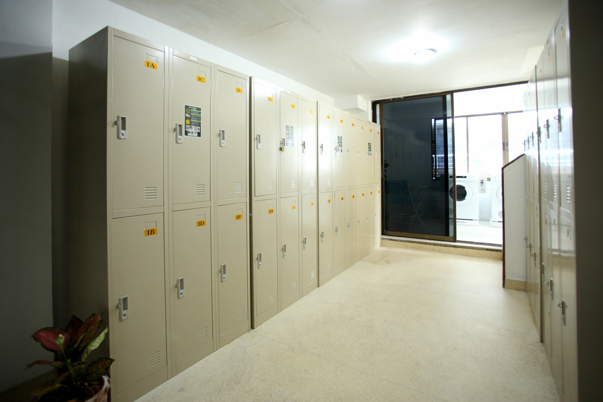 Thai Cat Hostel Μπανγκόκ Εξωτερικό φωτογραφία