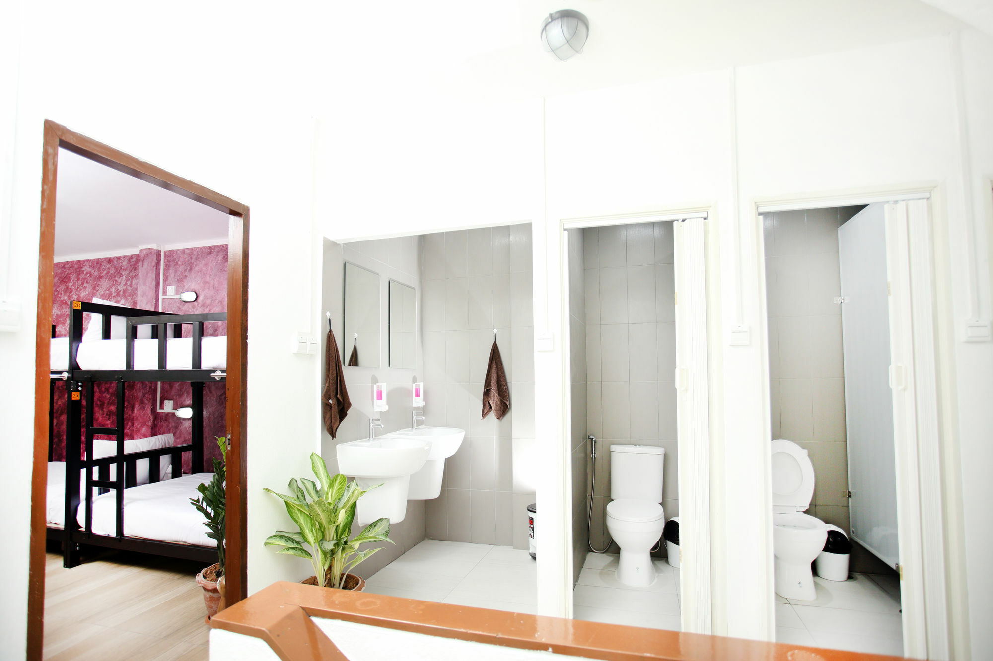 Thai Cat Hostel Μπανγκόκ Εξωτερικό φωτογραφία
