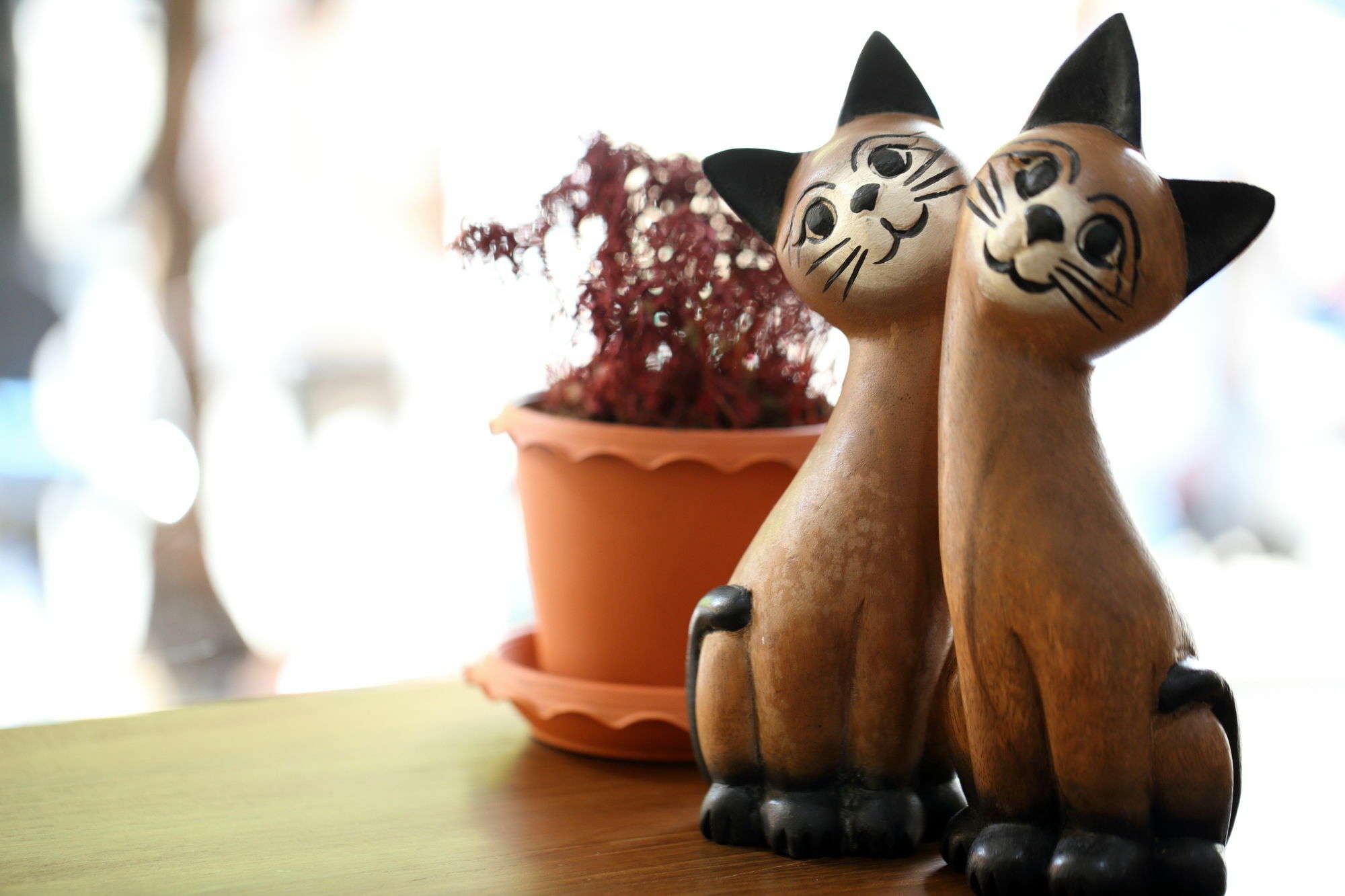 Thai Cat Hostel Μπανγκόκ Εξωτερικό φωτογραφία